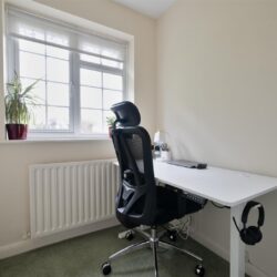 Thumbnail Image 15