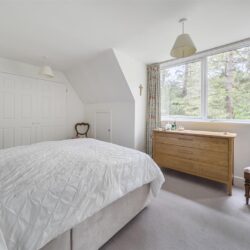 Thumbnail Image 12