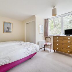 Thumbnail Image 16