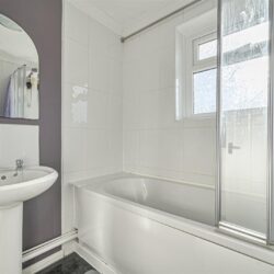 Thumbnail Image 11