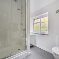 Thumbnail Image 14