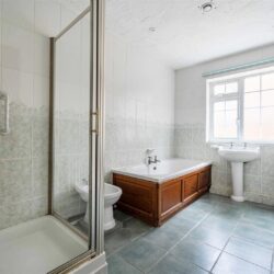 Thumbnail Image 13