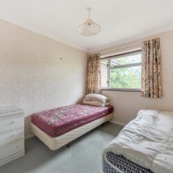 Thumbnail Image 12