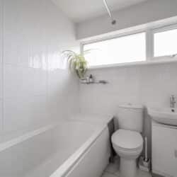 Thumbnail Image 10