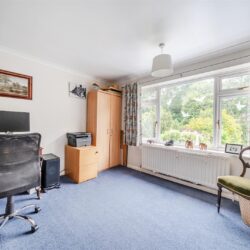 Thumbnail Image 16