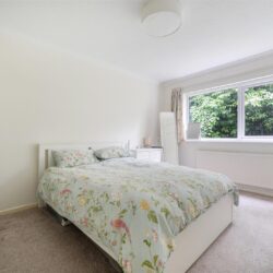 Thumbnail Image 15