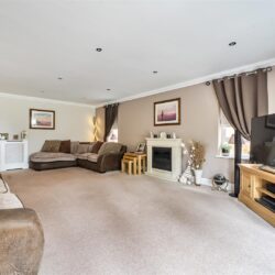 Thumbnail Image 6