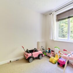 Thumbnail Image 12