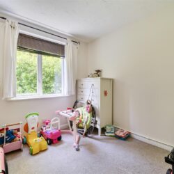 Thumbnail Image 13