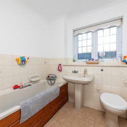 Thumbnail Image 12