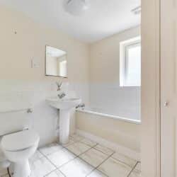 Thumbnail Image 14