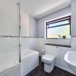 Thumbnail Image 13