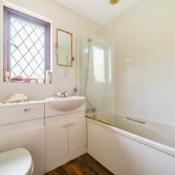 Thumbnail Image 13
