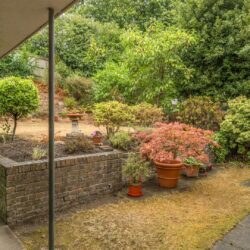 Thumbnail Image 19