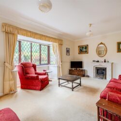 Thumbnail Image 1