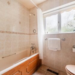 Thumbnail Image 15