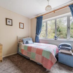 Thumbnail Image 16