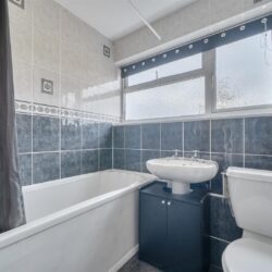 Thumbnail Image 12