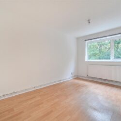 Thumbnail Image 8