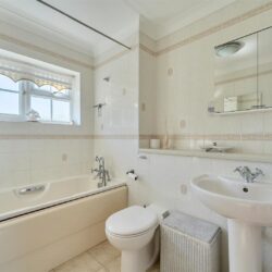 Thumbnail Image 17