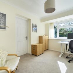 Thumbnail Image 11