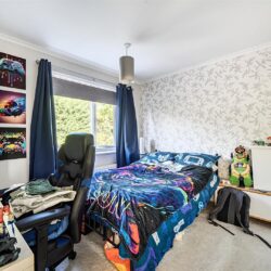 Thumbnail Image 13